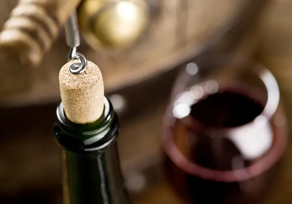 Czy wino to alkohol? Odkryj prawdę o jego właściwościach