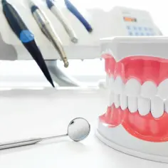 Model szczęki i narzędzia dentystyczne na białym tle.