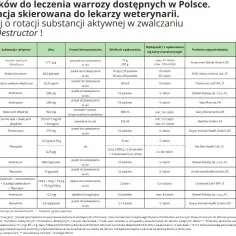 Jakie leki może wypisać lekarz rodzinny: pełna lista i ograniczenia 2025
