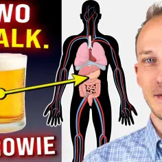 Czy piwo Karmi ma alkohol? Prawda o jego zawartości alkoholu