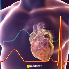 Anatomical serce człowieka na tle wykresów EKG.