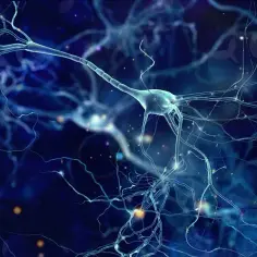 Jakie badania na SM są kluczowe? Diagnostyka stwardnienia rozsianego krok po kroku