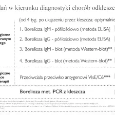 Ile kosztuje badania na boreliozę: wszystkie ceny diagnostyki w Polsce