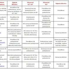 Jakie badanie na wątrobę jest kluczowe - lista najważniejszych testów