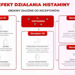 Schemat działania histaminy na receptory H1-H4, wpływając na układ oddechowy, nerwowy, pokarmowy, krwionośny, macicę, skórę i szpik kostny. Enzym DAO rozkłada histaminę.