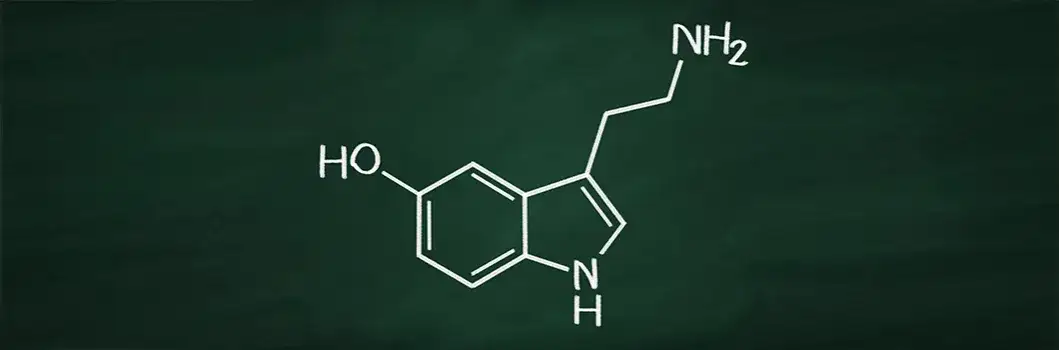 Zdjęcie Niedobór serotoniny objawy - jak je rozpoznać i co oznaczają?