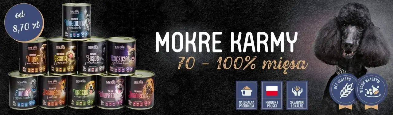Zdjęcie Czy kaczka uczula psy? Objawy alergii, które musisz znać