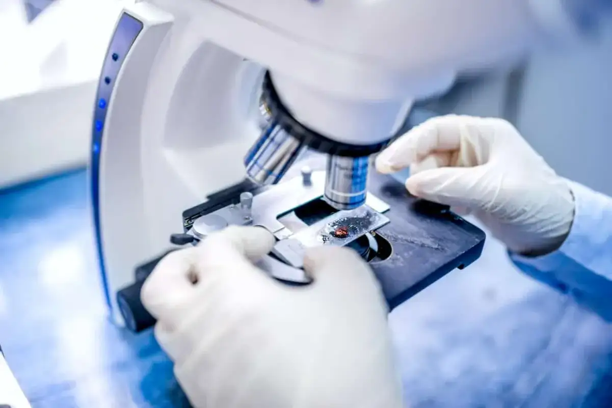 Zdjęcie Kompletna lista badań na trzustkę: wszystko o diagnostyce i profilaktyce