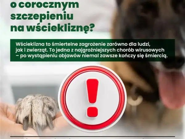 Wścieklizna - Szybka reakcja ratuje życie. Sprawdź, co robić!