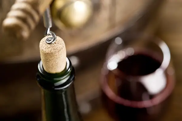 Czy wino to alkohol? Odkryj prawdę o jego właściwościach