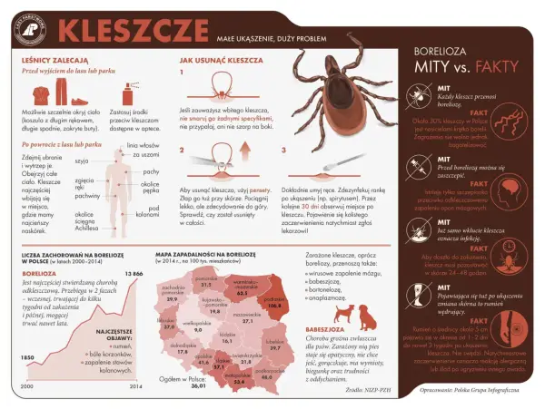 Czy borelioza jest zakaźna? Fakty, które musisz znać o tej chorobie