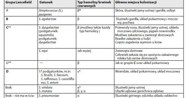 Paciorkowiec - kiedy jest groźny? GAS, GBS - objawy i leczenie