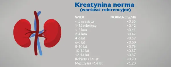 Ile się czeka na wynik badania kreatyniny i co warto wiedzieć?